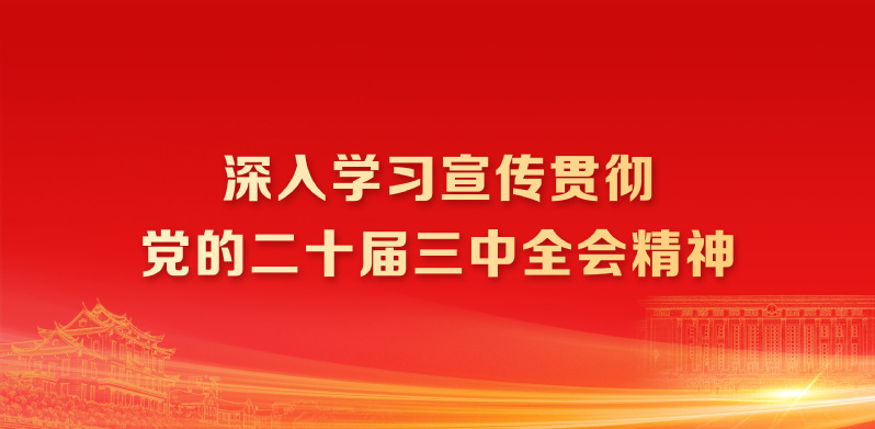 深入学习宣传贯彻党的二十届三中...